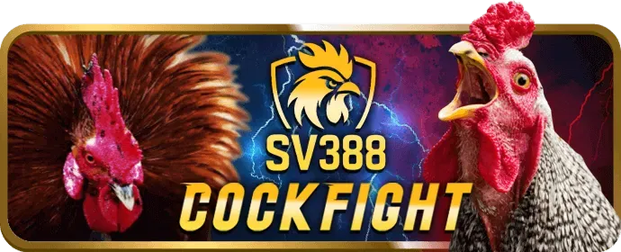 Hỗ trợ khách hàng 24/7 của 89win login